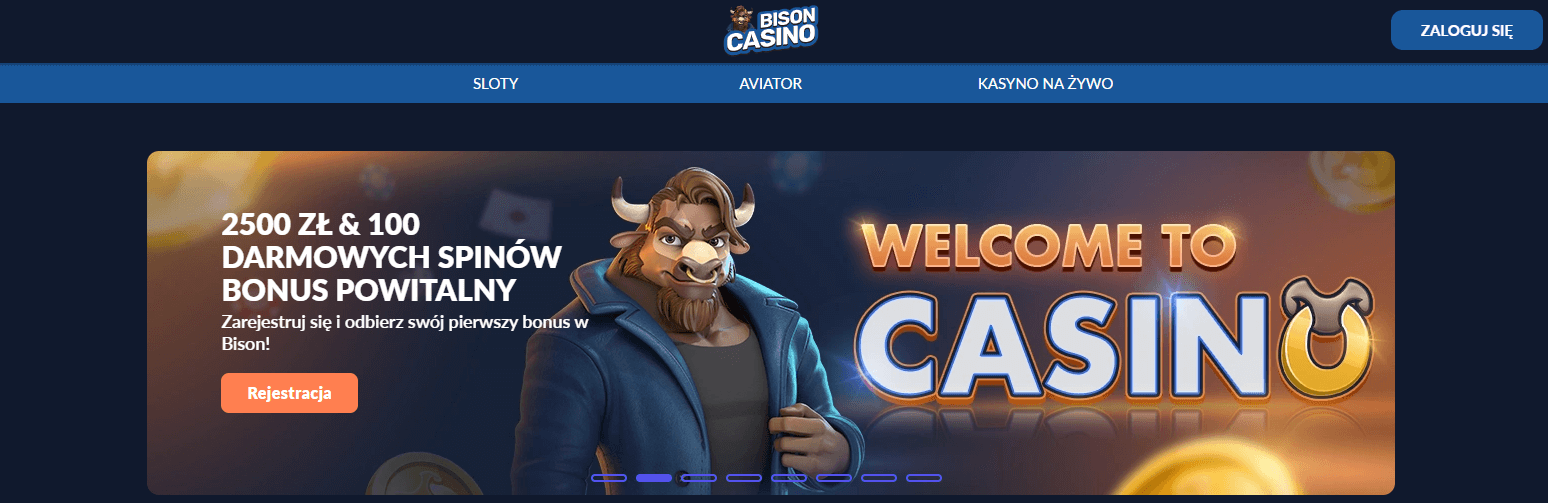 Playbison​ http://playbisonpoland.pl/